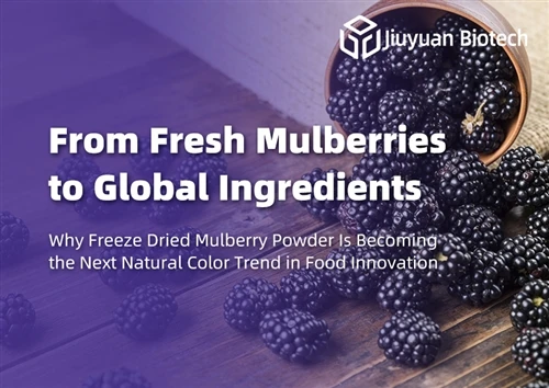 O Mulberry Fresh i Gynhwysion Byd-eang: Pam Mae Rhewi Powdwr Mulberry Sych Yn Dod yn Duedd Lliw N...