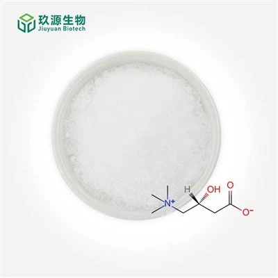 Powdr pur l-carnitine